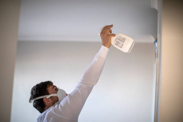 Best Mold Cleaning Services  in Snohomish, WA